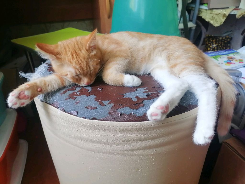 Как я играю в разные игры