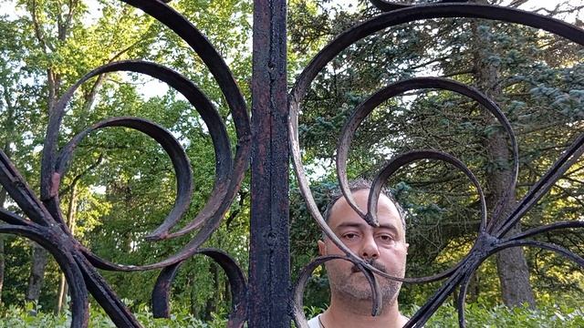 Смех элегантности