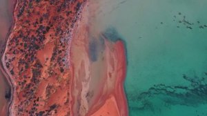 Энергия лета ♪