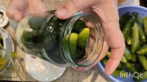 Маринованные огурчики по болгарски.С луком и семенами горчицы.