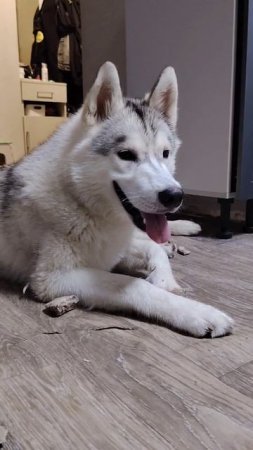 Разобрал Кощея 🤣