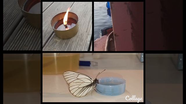 ПРИРОДА🦋🔥