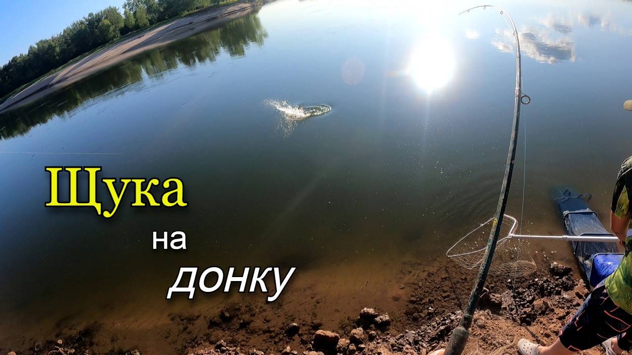 Поклевки щуки на донки. Рыбалка летом на реке Ахтуба