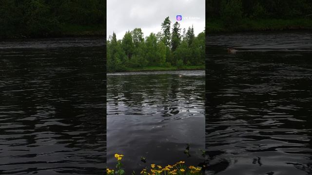 Рыбалка на кораблик.