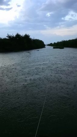 Не рыбный дождик