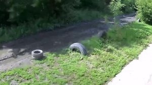 В Омске стая бродячих собак набросилась на женщину.