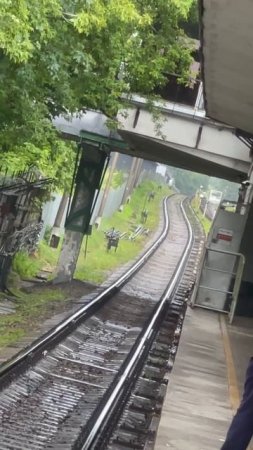 🚇Поезда не ходят на участке синей ветки метро между «Щелковской» и «Партизанской» из-за дерева🚇