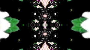 Футажи! Футаж Букеты роз К 12 от Киностудии Мудрого Кота Тимофея!!!