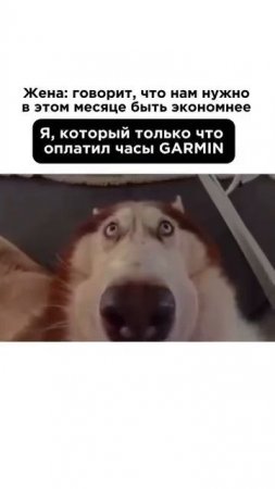 Жиза?