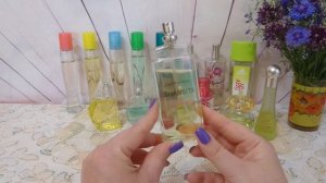 Ароматная полка лета 2025