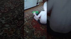 Трактор синий и зелёный играеца🚜🚜🚜