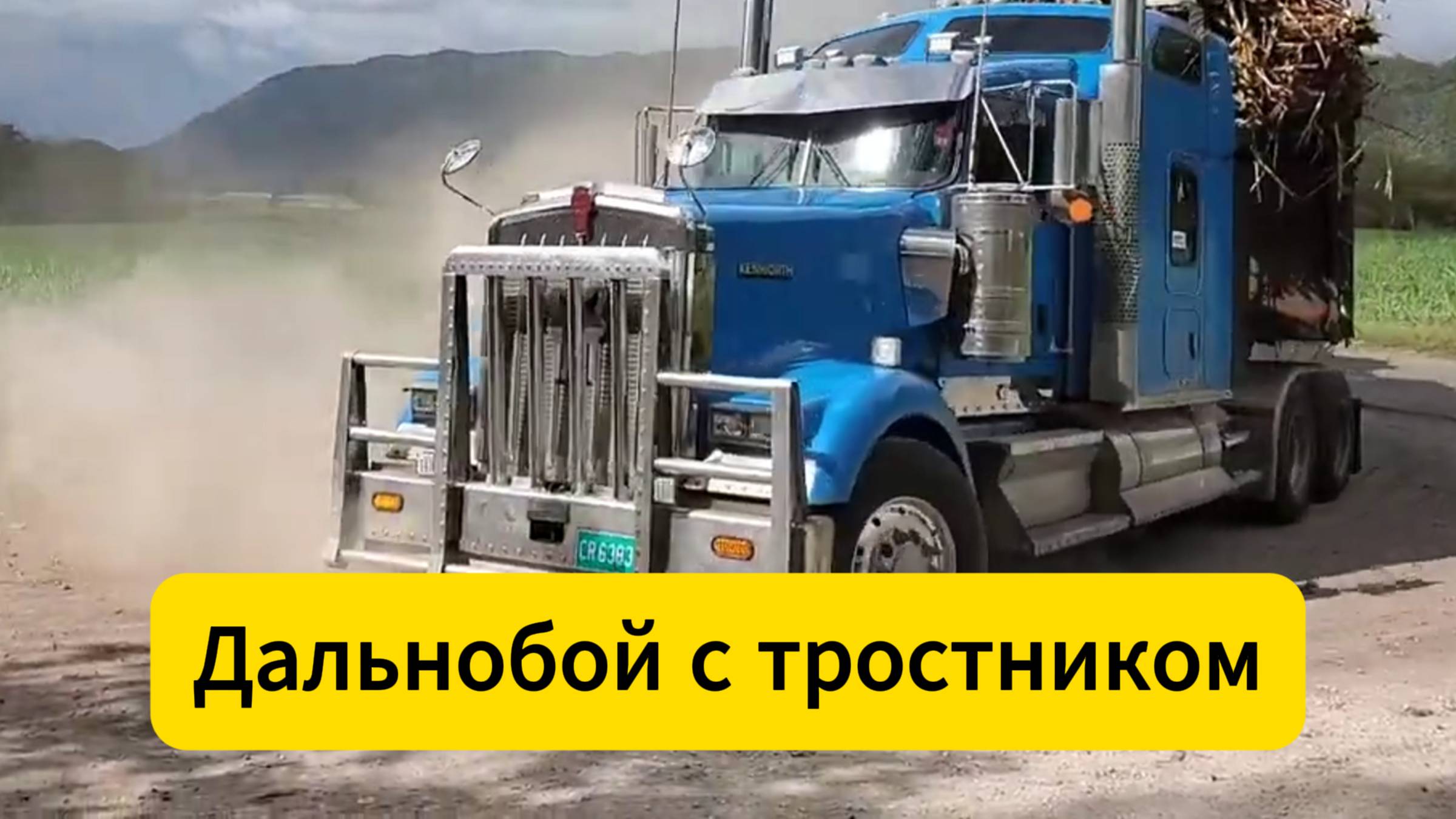 Траки с тростником выкатывают достойное парковое поместье  #дизельворкс