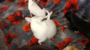 Доброго всем утречка и чудесного начала дня.