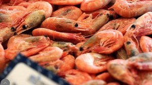 Эндокринолог Яцишина назвала самый эффективный способ восполнить дефицит йода