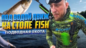 Выборгский залив: Подводная охота, и места для отдыха