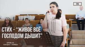 Стих - "Живое всё Господом дышит" | Христианские стихи