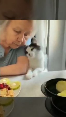 Любовь