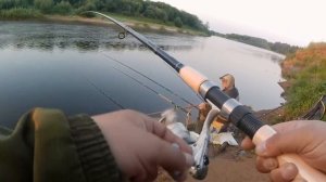 Проверка готовности
мудрого рыболова )