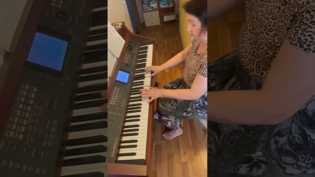 Евгений Дога Вальс Мой ласковый и нежный зверь.Исполняет Дворцова Е.В.