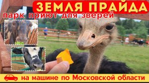 ПАРК ЛЬВОВ "ЗЕМЛЯ ПРАЙДА" 2025 - Колдовские путешествия