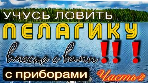 Как ловить с PANOPTIX с помощью Ротатора FISH GAMES. Часть 2. ПОИСК и ПОСТАНОВКА.