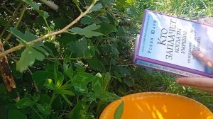 Куры несут крипто валюту Ton на 6 соток  2 день Челлендж по книги :Каждый день делайте доброе дело.