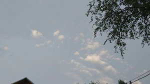 Опять в квартире все вверх дном/ Дачные денечки