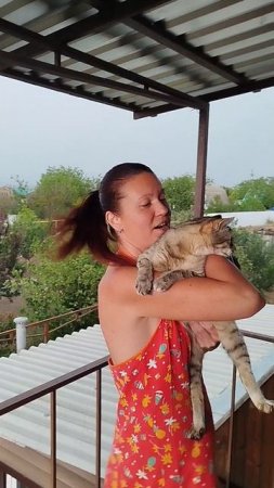 стихия разбушевалась