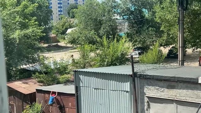 "Будни" (новости, 15.07.25г., Бийское телевидение)