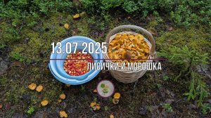 Лисички, морошка и гроза в июле на Алёховщине.