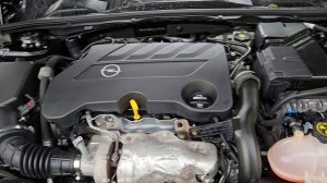 Opel insigbia 2018