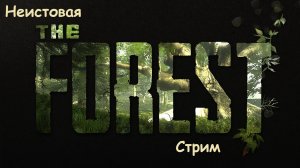 The Forest #1