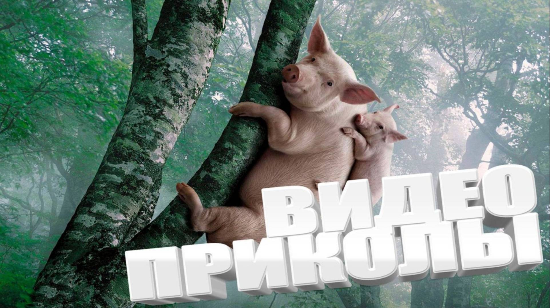 Я смеялся до слез 😂. Сборник лучших шуток 2025 года.