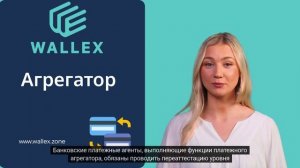 Платежный агрегатор под ключ - готовое решение от Wallex