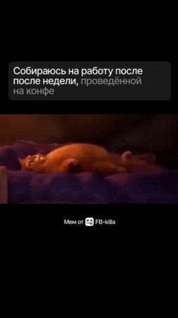 Собираюсь на работу после недели, проведенной на конфе