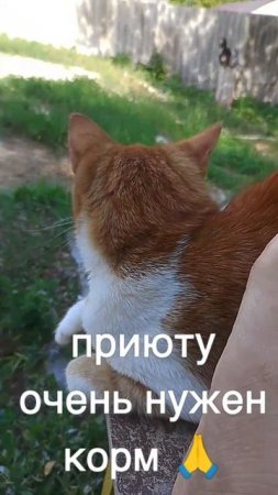 +7985 193 0027 сбер элплат