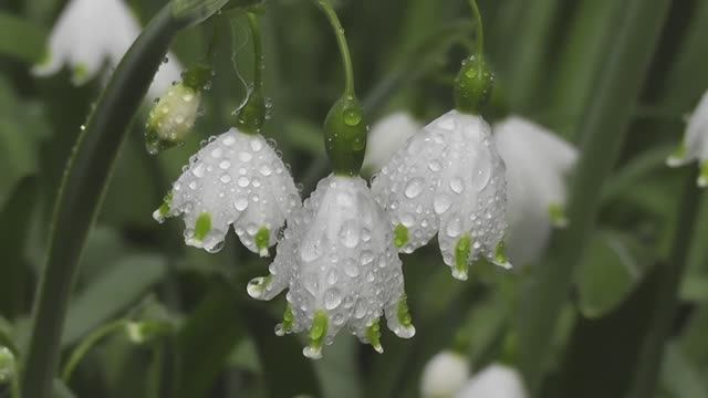 🌼 Снимки природы