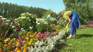 Больше 100 тысяч цветов украсили Московский парк Победы