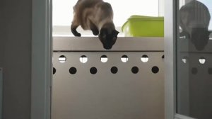 YouCut_20231017_153335866_compressed_watermarkless (1)