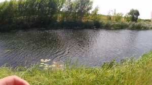 Ловля на спиннинг в жару. Облом с белым хищником