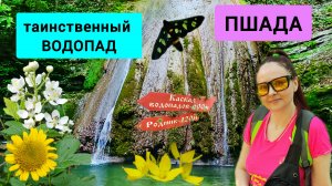 #157 Пшада и таинственный ВОДОПАД. Дегустация МЁДА #леснаяцаревна #пойдемсомной #sumkiberry