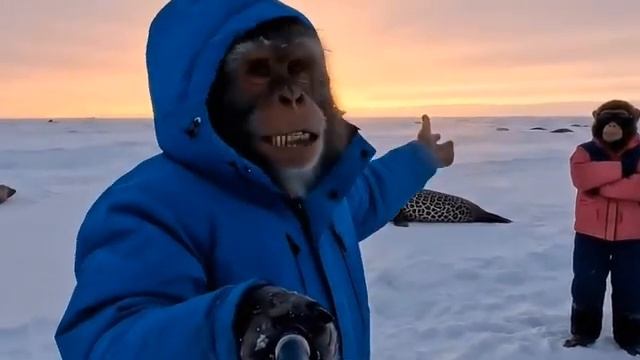 Юмор от И.И., подборка кампуктерных ржачных роликов