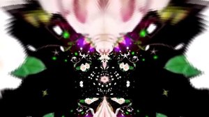 Футажи! Футаж Букеты роз К 13 от Киностудии Мудрого Кота Тимофея!!!