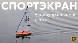 СпортЭкран: Радиоуправляемая регата. Море смеха и немного брызг | 4K