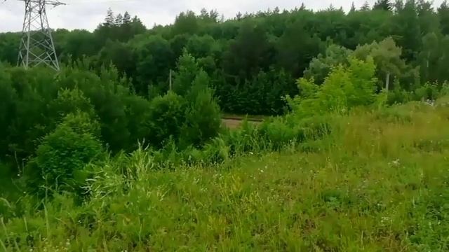 Прогулка по Николо-Берёзовскому шоссе, по лесу плюс занятия на тренажёрах под открытым небом
