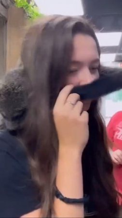Наш TG https://t.me/liveofcats