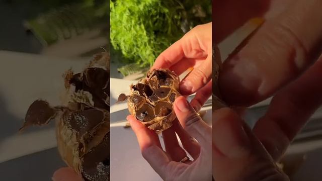 🍝 Паста с овощами и сливочным соусом
#обеды #ужины #горячее