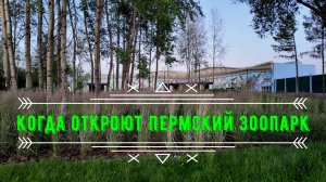 Когда откроют Пермский зоопарк