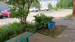 Рано встаешь — учёба удачней! С Путь студента до вуза