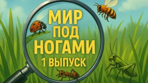 "Мир под ногами" выпуск №1
